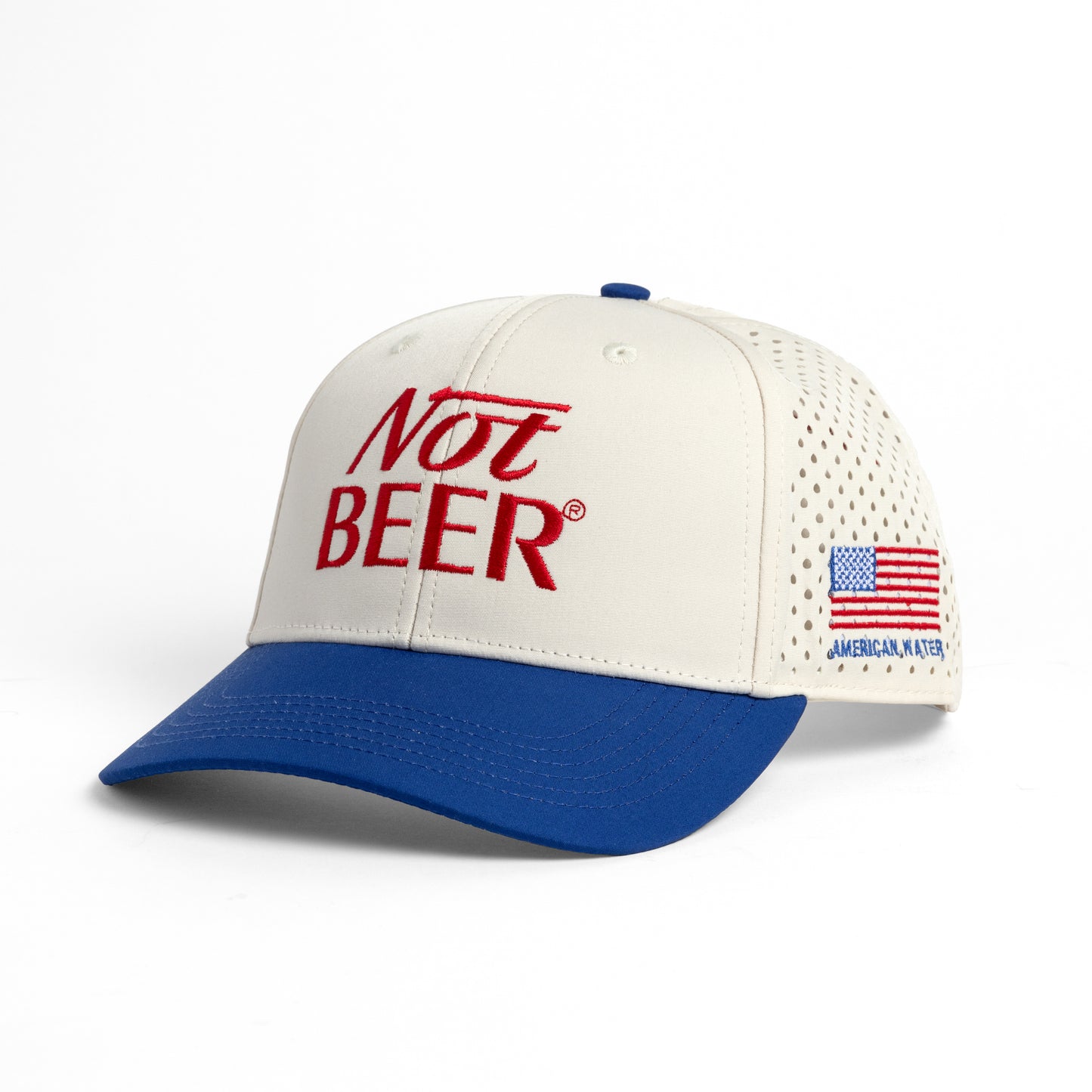 Not Beer Logo Hat